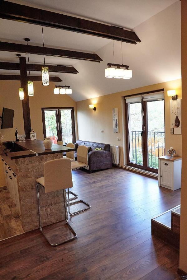 Apartament Rozelor Brașov Exterior foto